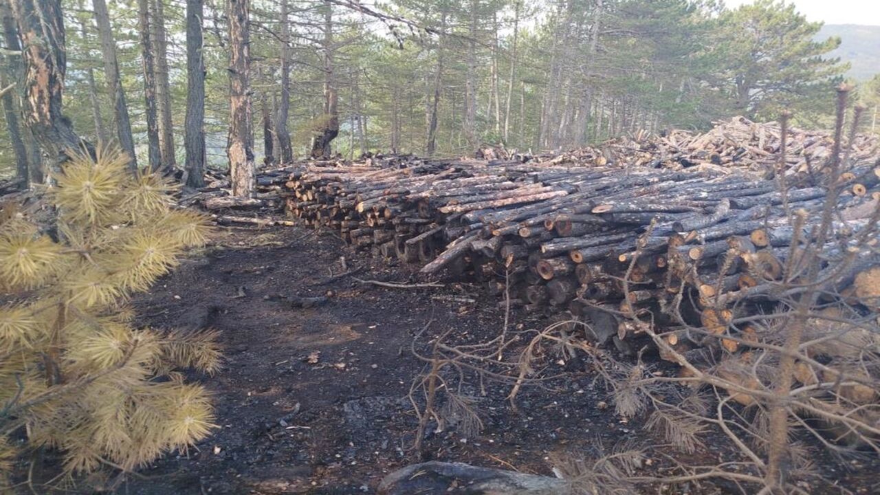 Orman Yangını Siterler Yandı (2)