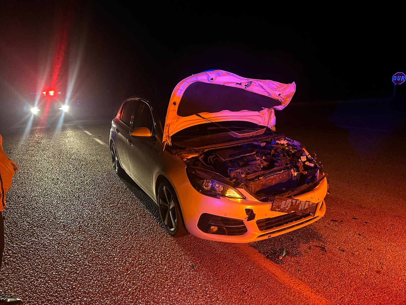 Otomobil Danaya Çarptı 2 Kişi Yaralandı 1