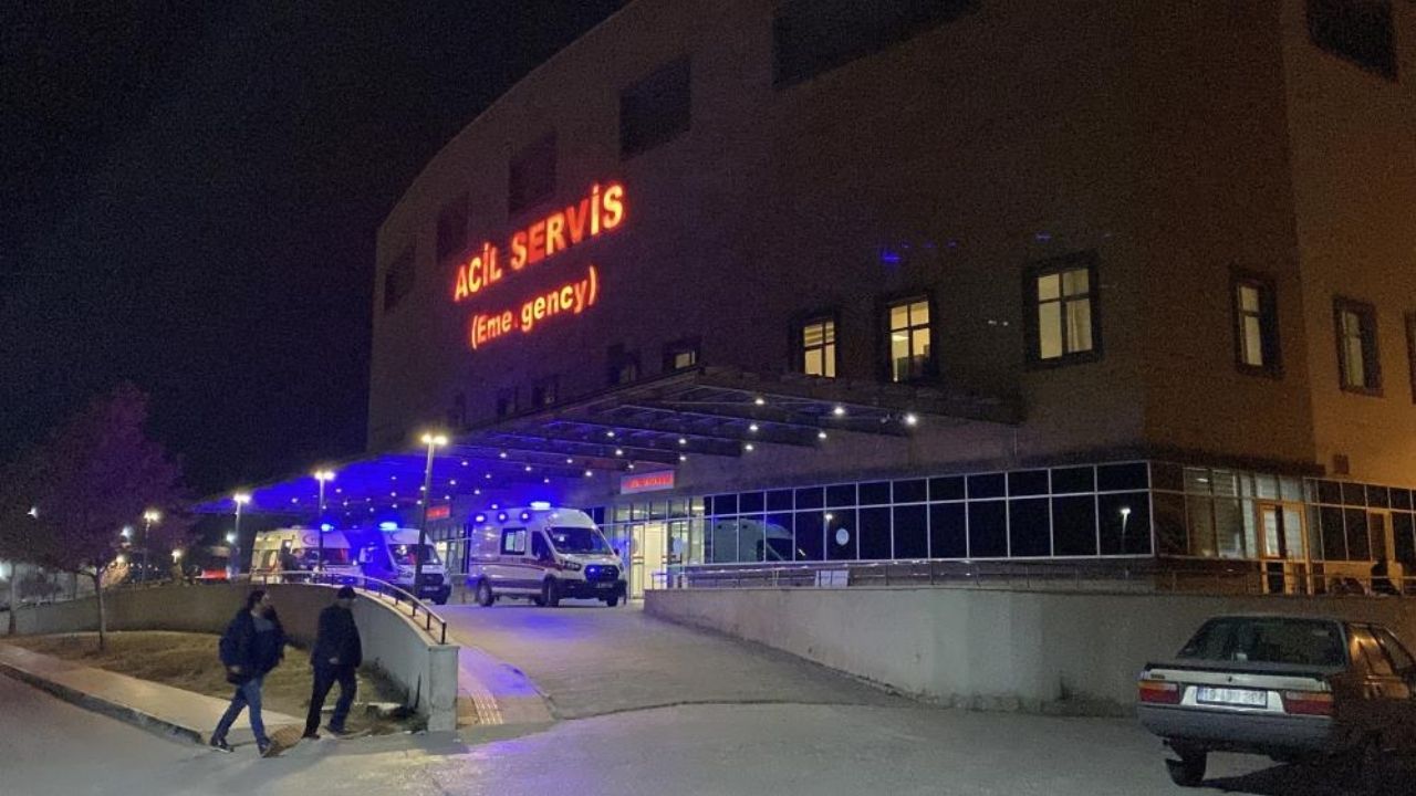 Park Halindeki Vince Çarptılar 1 Ölü, 1 Yaralı (2)