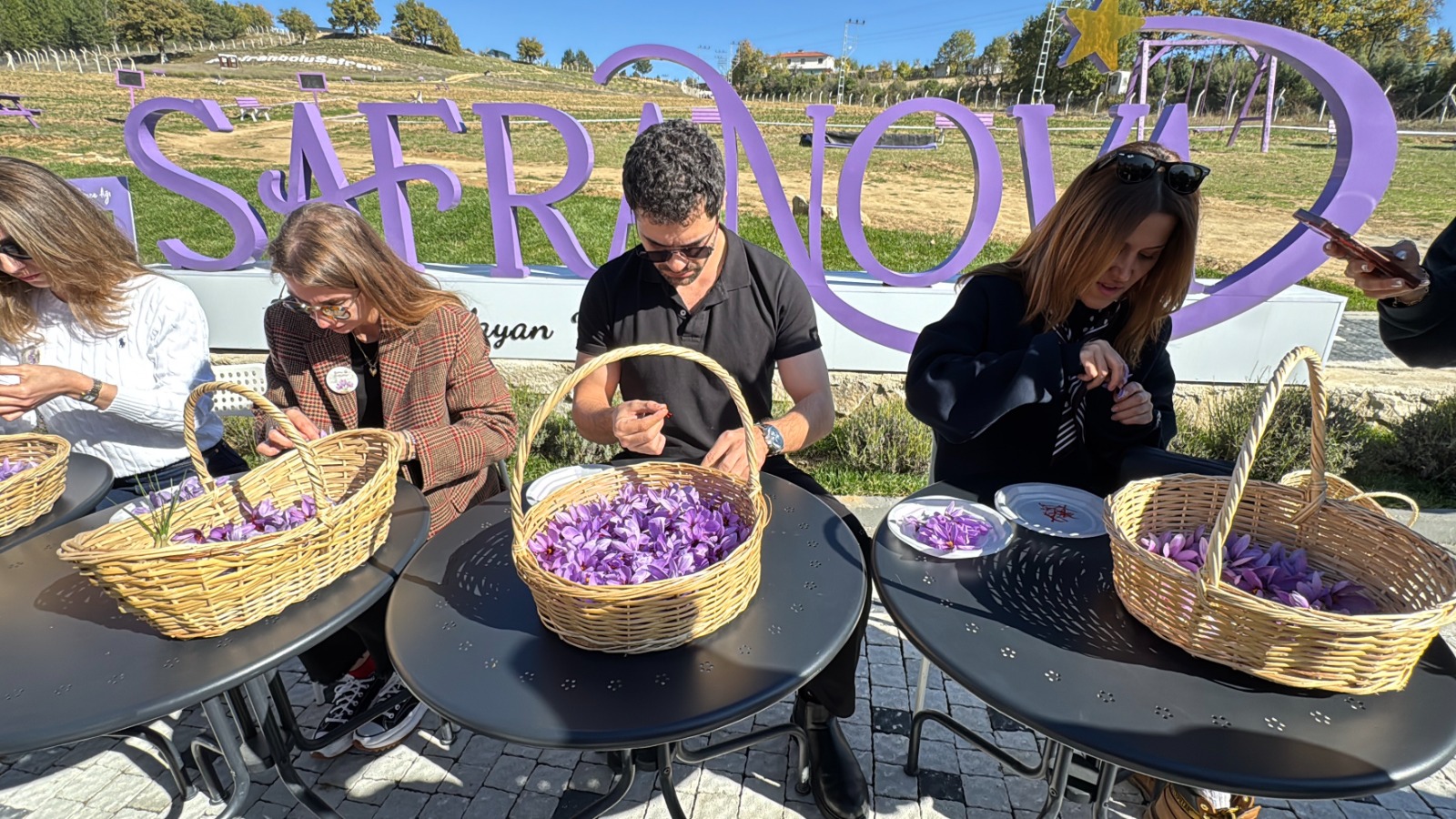 Safranbolu’da 6 Asırlık Safran Bitkisi Katılımcılarla Buluştu 1