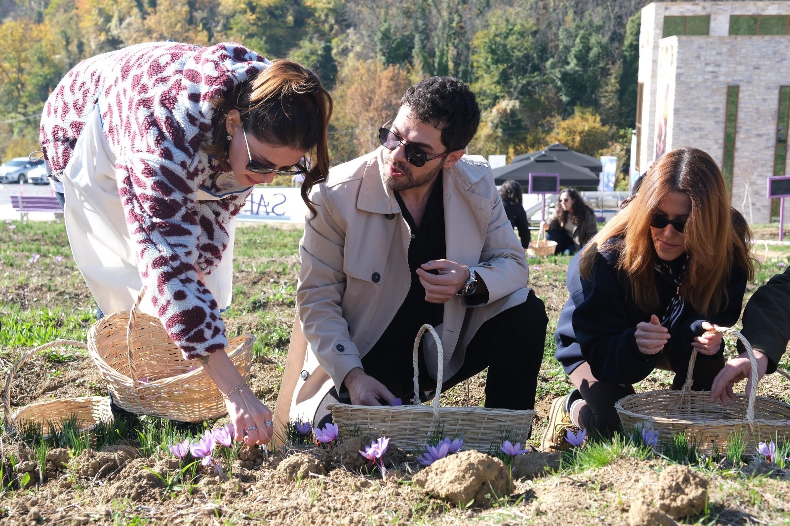 Safranbolu’da 6 Asırlık Safran Bitkisi Katılımcılarla Buluştu 2