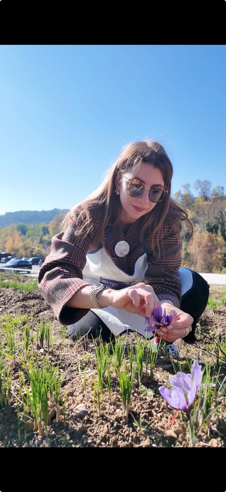 Safranbolu’da 6 Asırlık Safran Bitkisi Katılımcılarla Buluştu 22