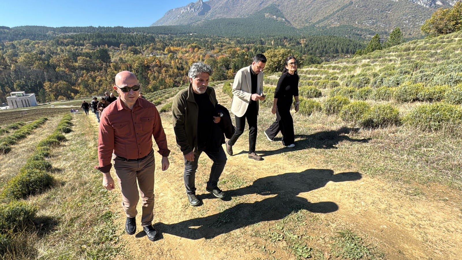 Safranbolu’da 6 Asırlık Safran Bitkisi Katılımcılarla Buluştu 8