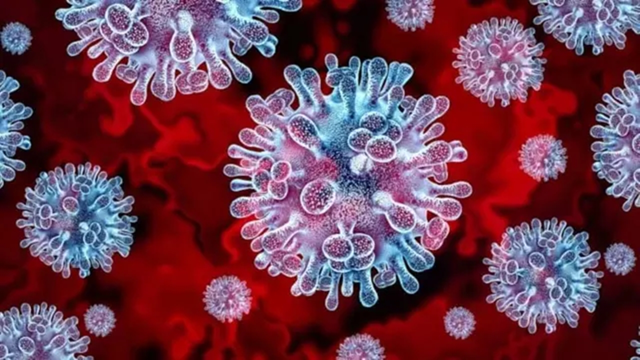 Salgın Hastalık (2)