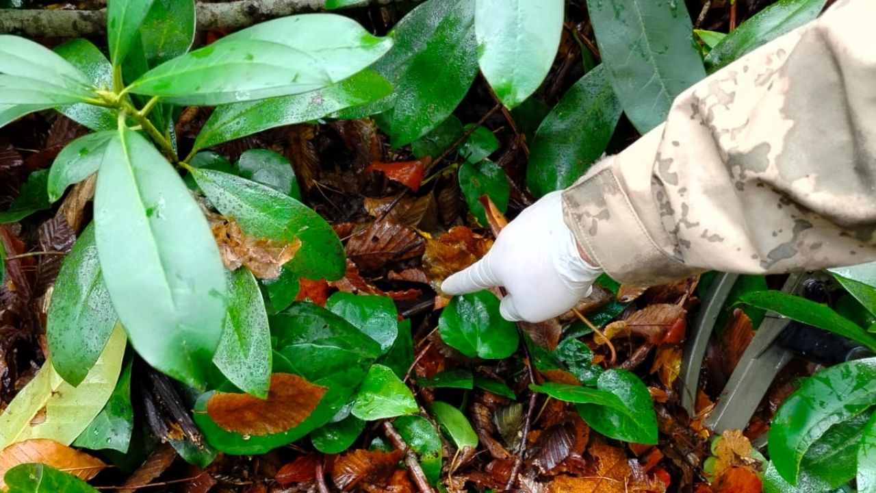 Soruşturmayı Değiştirebilir Kastamonu’da Günlerdir Aranan Telefon Bulund (1)