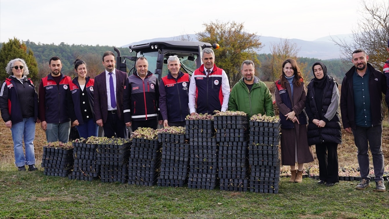Tarım Daday Destek (1)