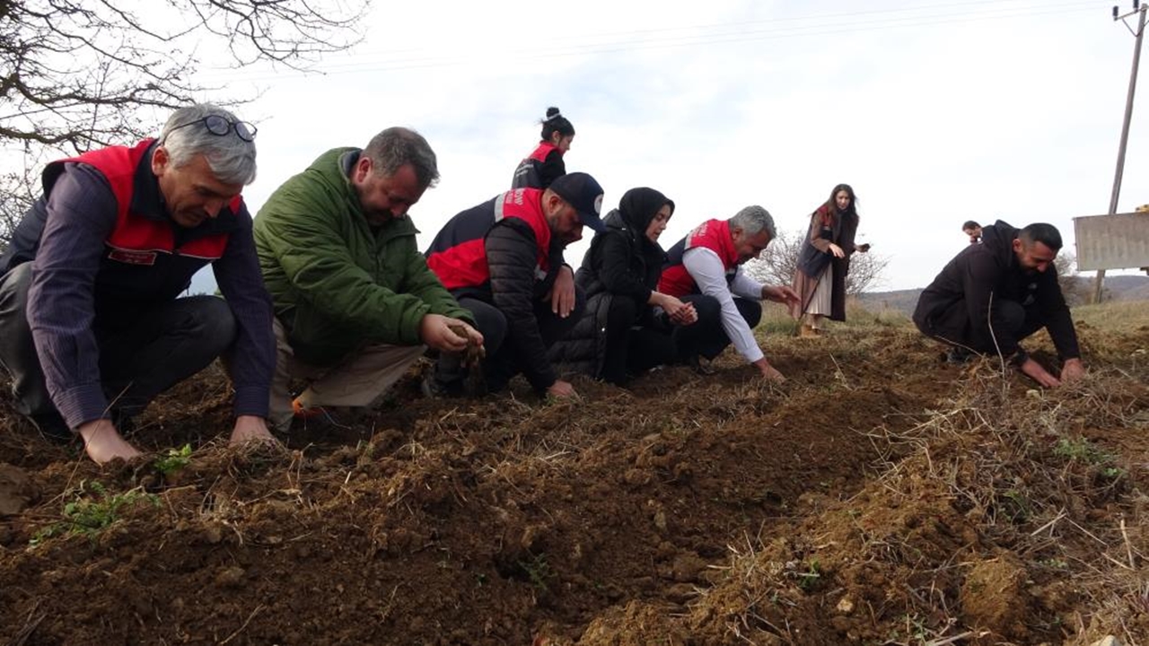 Tarım Kadın Destek (1)-1
