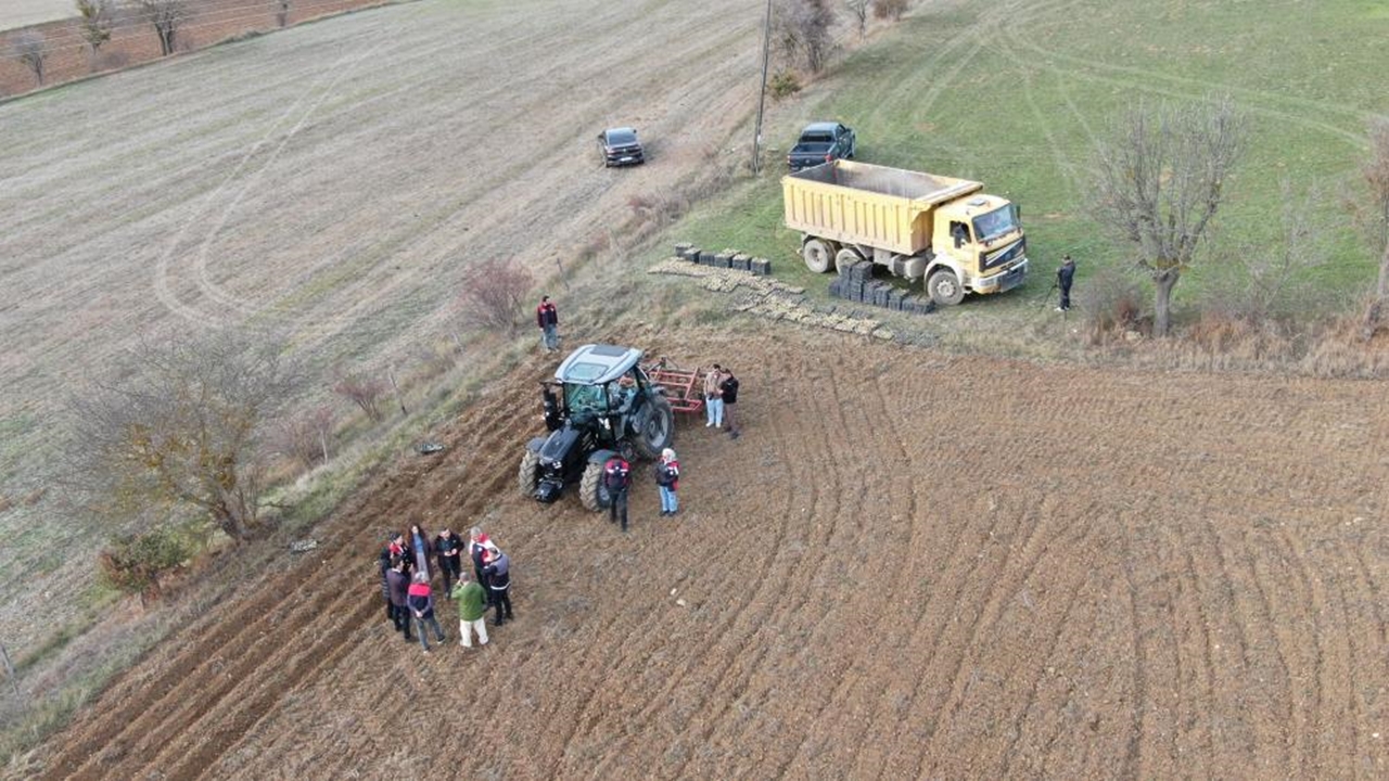 Tarım Kadın Destek (2)