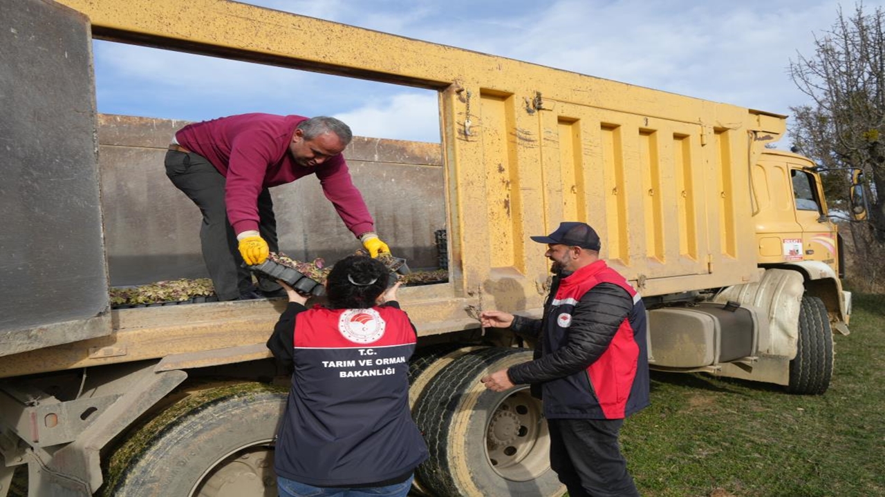 Tarım Kadın Destek (4)