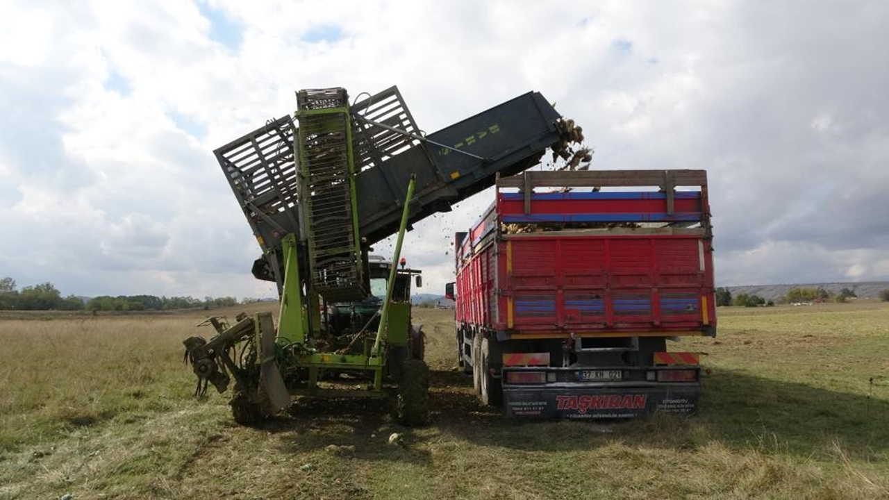 Taşköprü, Devrekani Ve Seydiler Pancar (4)
