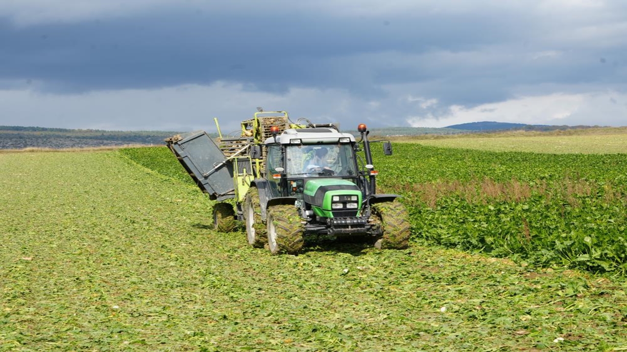 Taşköprü, Devrekani Ve Seydiler Pancar (5)