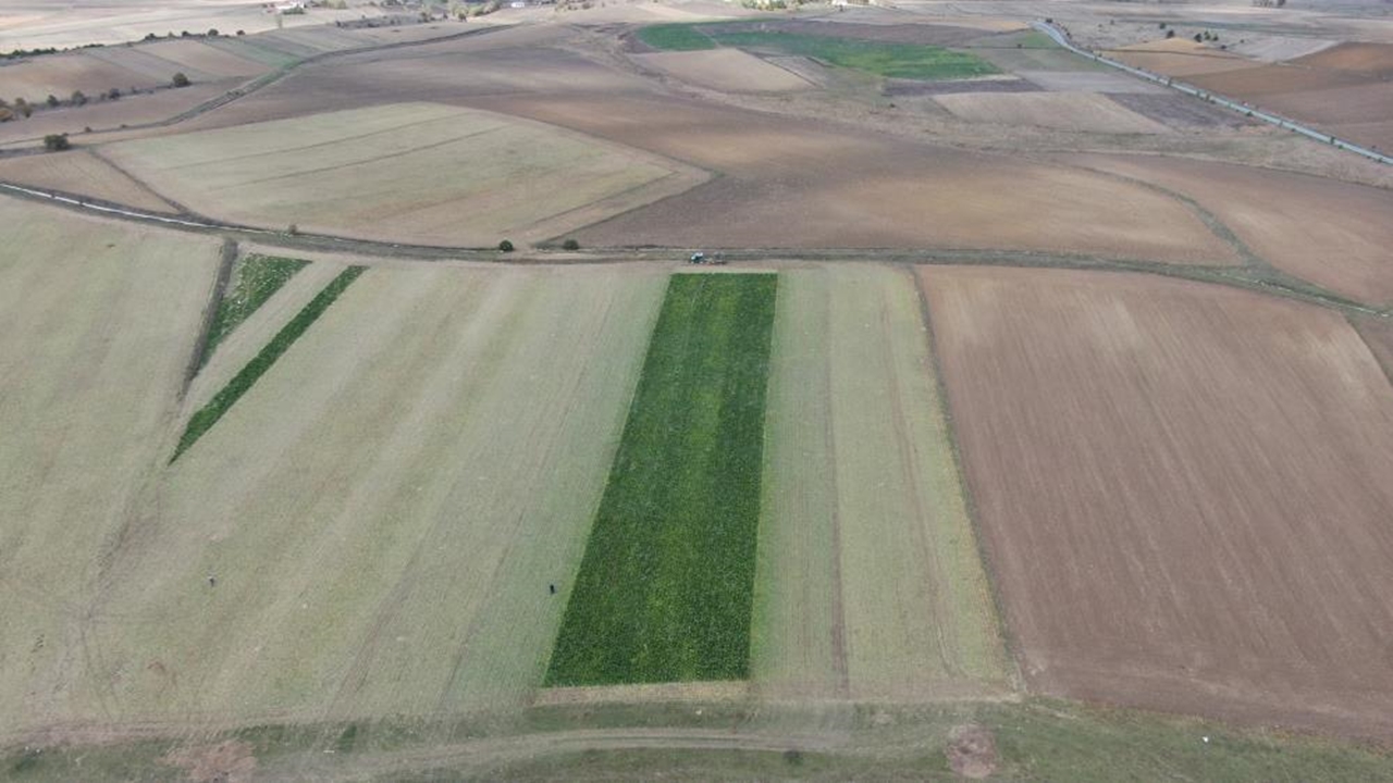 Taşköprü, Devrekani Ve Seydiler Pancar (7)