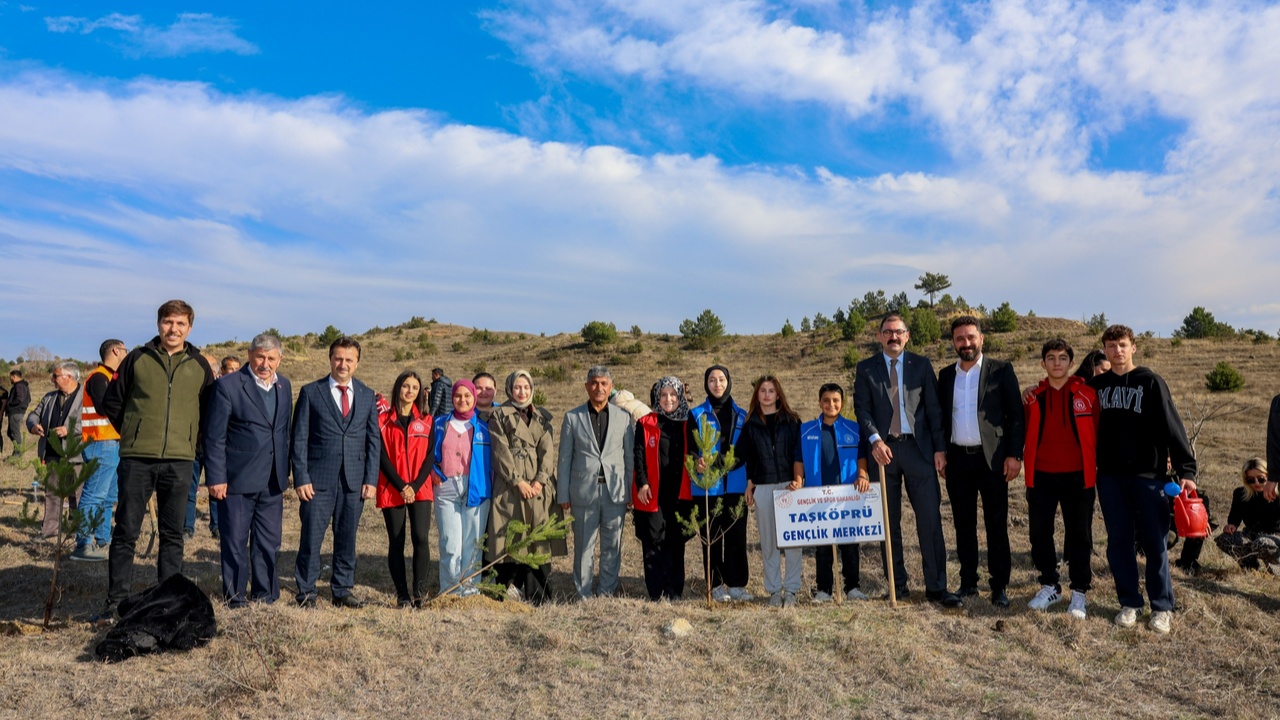 Taşköprü Fidan Dikim Karaçam (1)