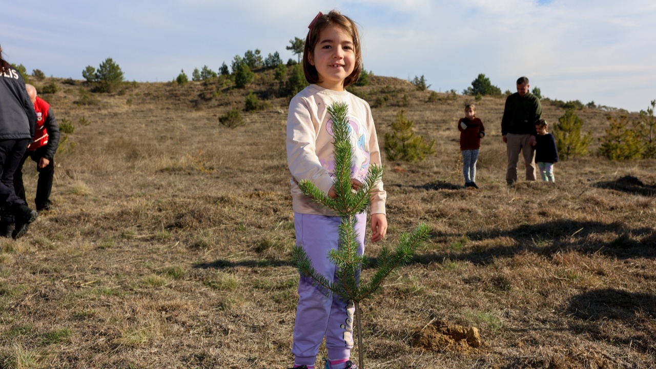 Taşköprü Fidan Dikim Karaçam (11)