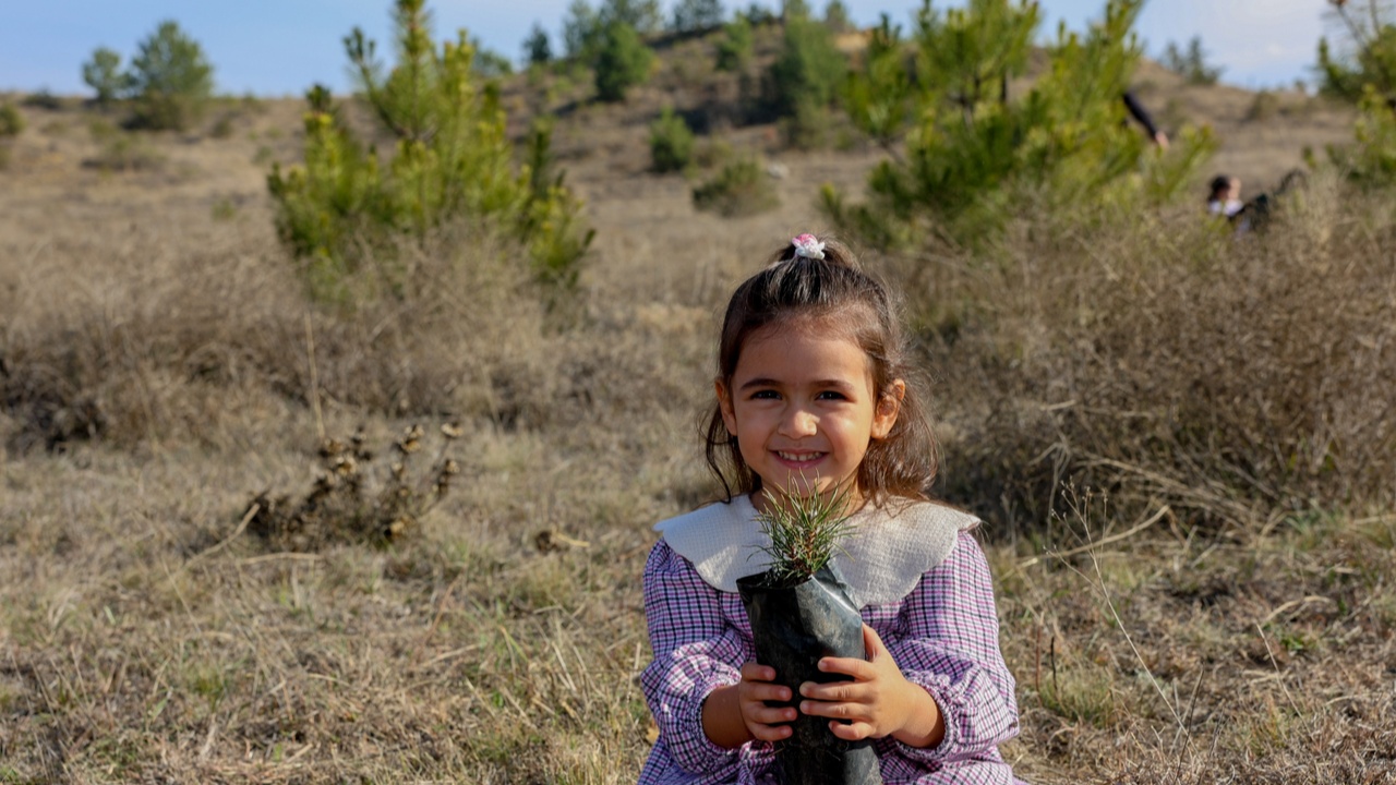 Taşköprü Fidan Dikim Karaçam (14)