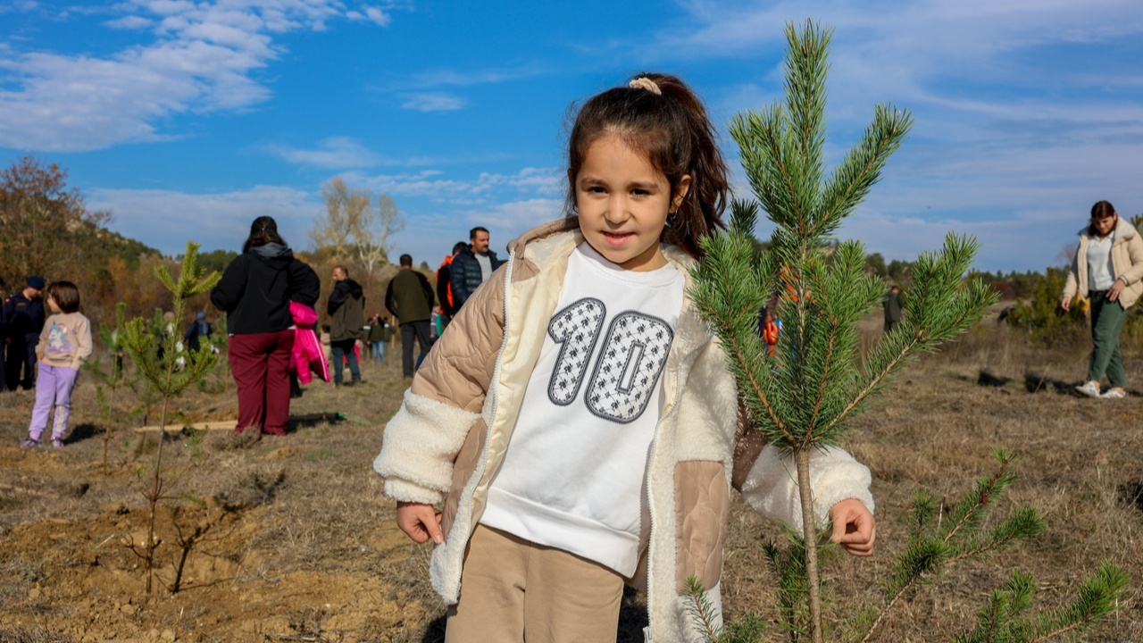 Taşköprü Fidan Dikim Karaçam (4)