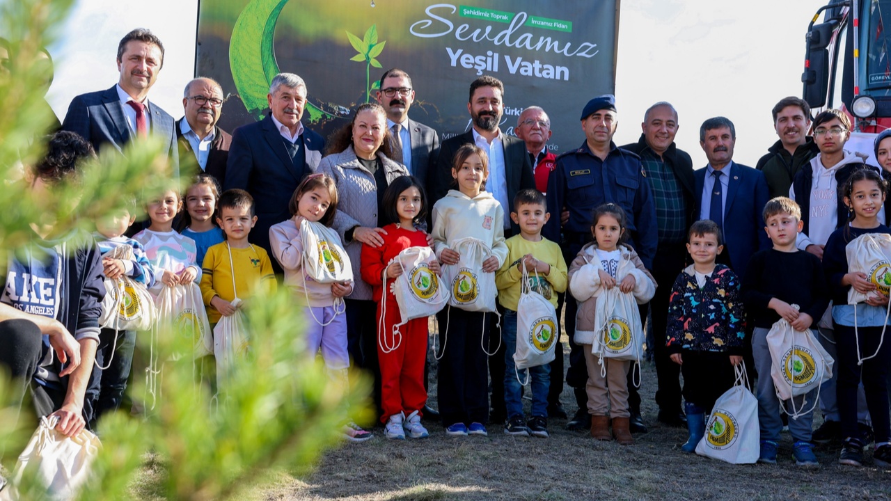 Taşköprü Fidan Dikim Karaçam (6)