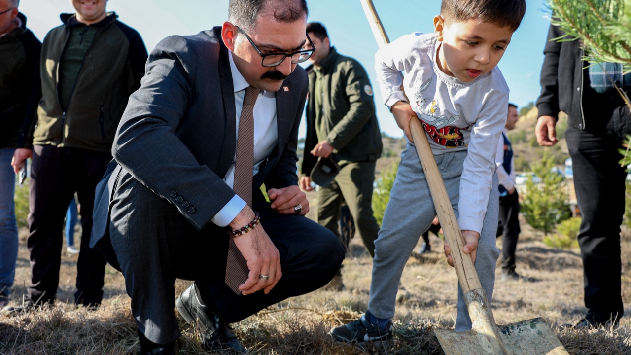 Taşköprü Fidan Dikim Karaçam (9)