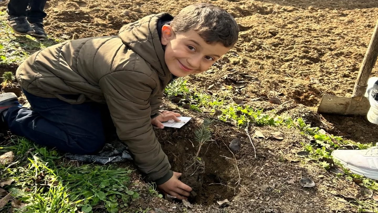 Taşköprü Fidan Dikimi (2)