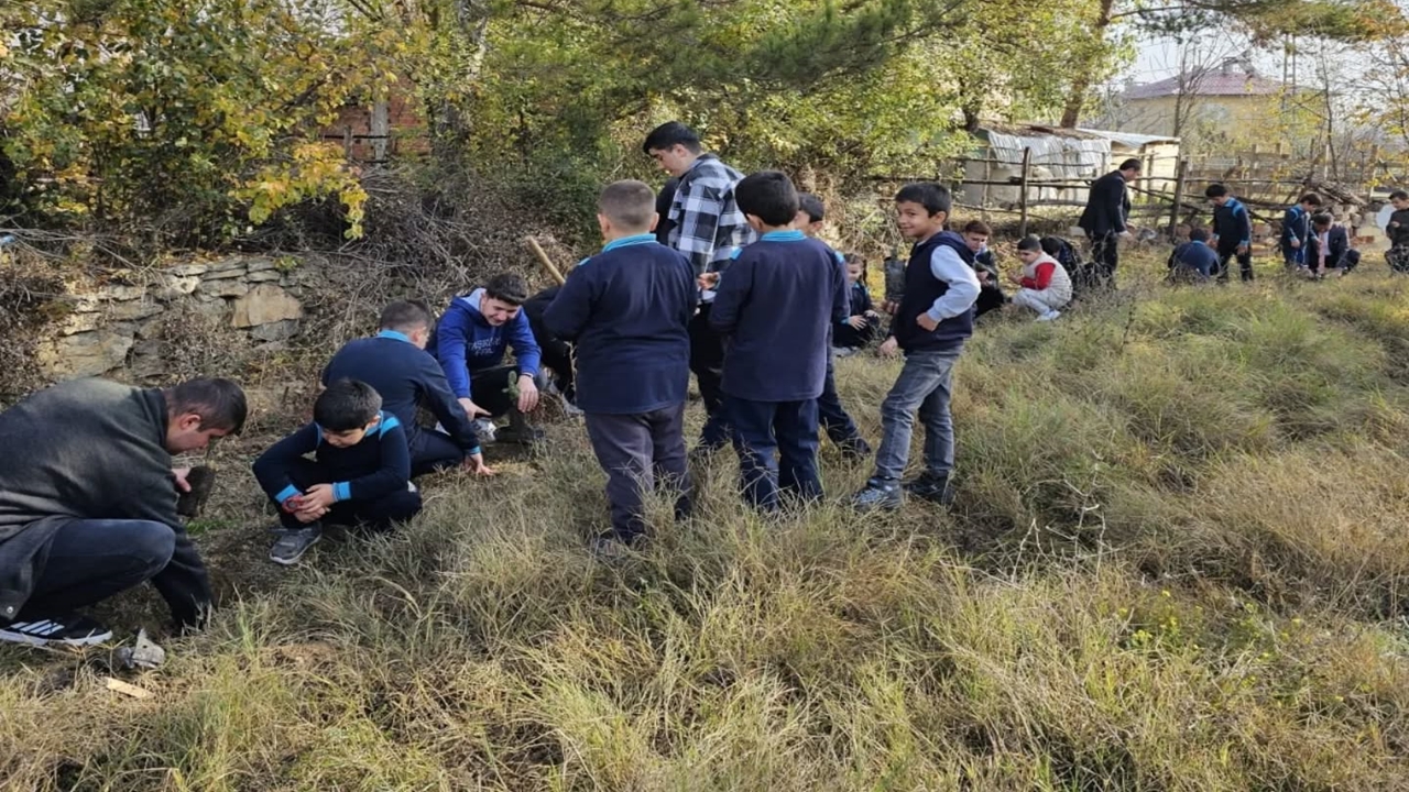 Taşköprü Fidan Dikimi (7)