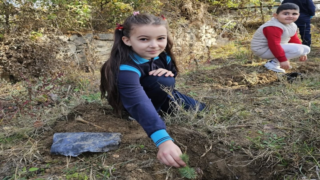 Taşköprü Fidan Dikimi (8)