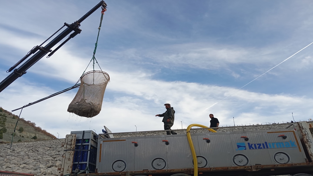 Taşköprü Karaderi Somon (3)