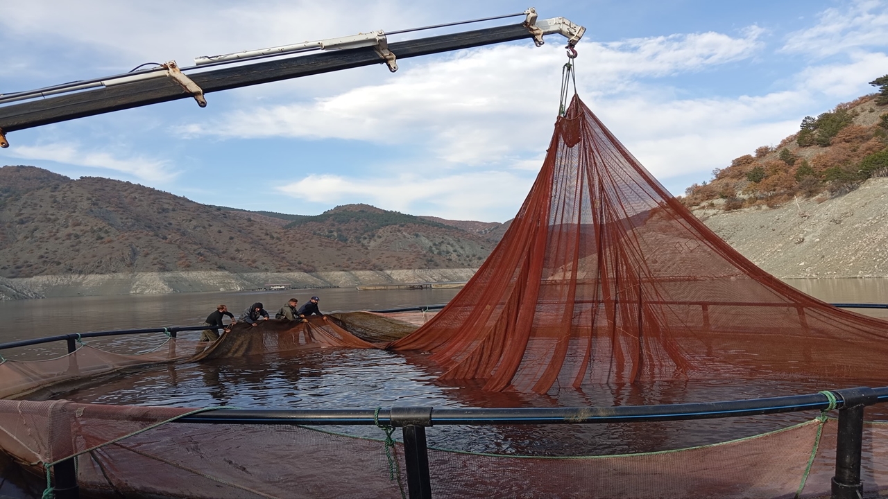 Taşköprü Karaderi Somon (4)