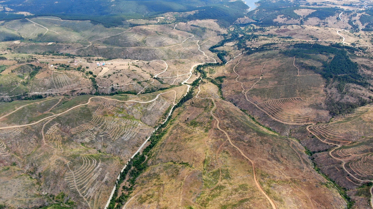 Taşköprü Orman Yeşillendirme (1)