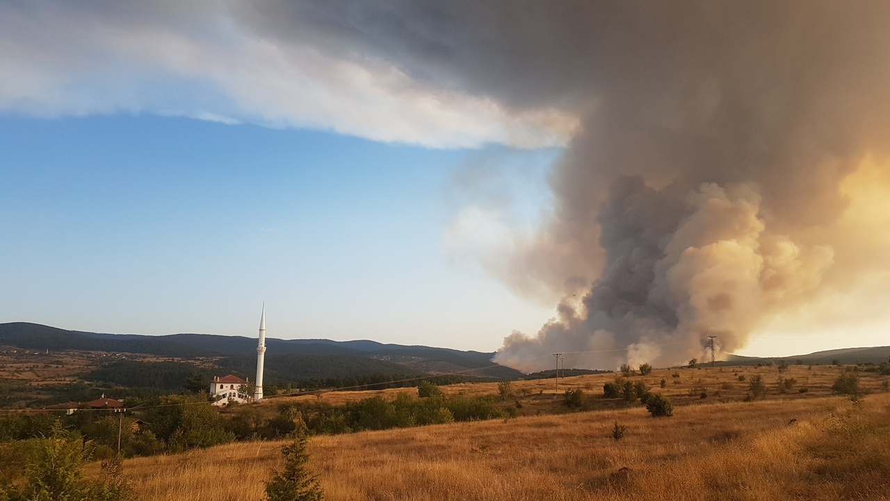 Taşköprü Orman Yeşillendirme (11)
