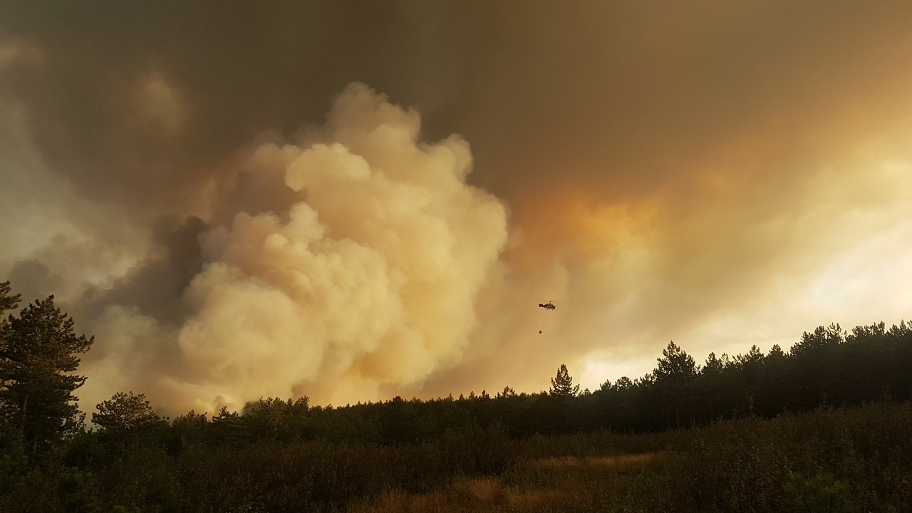 Taşköprü Orman Yeşillendirme (12)