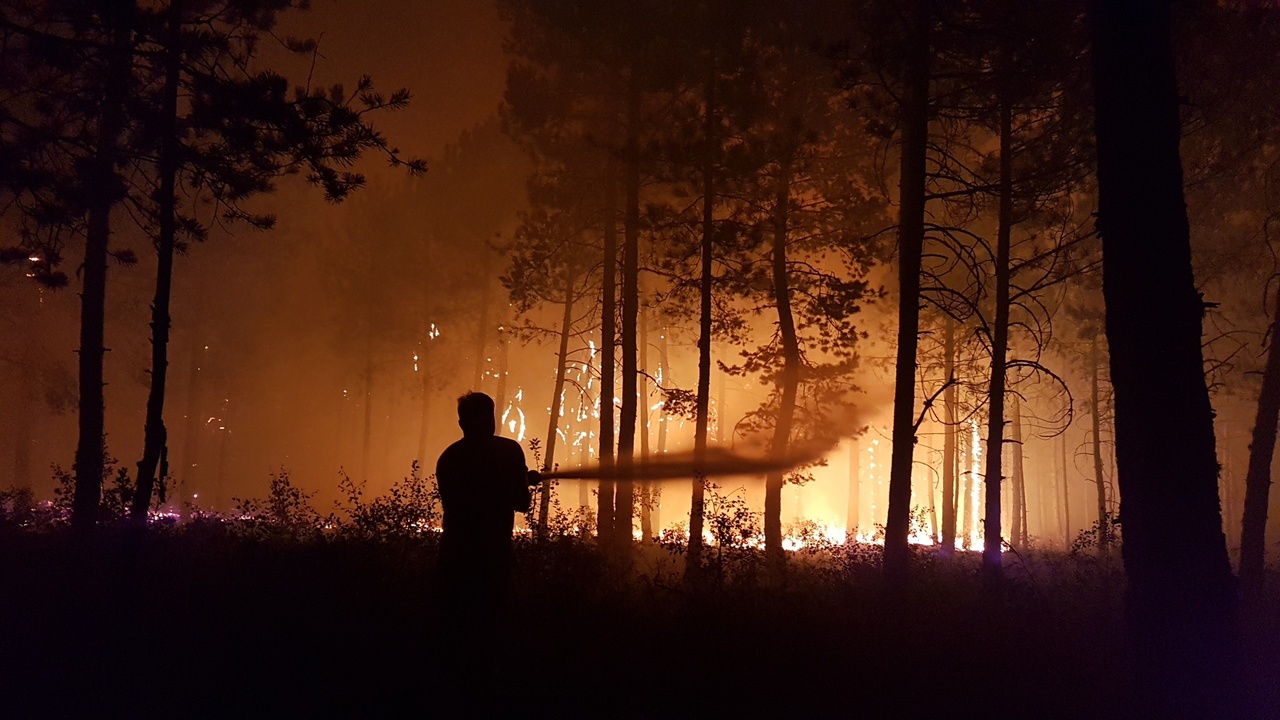 Taşköprü Orman Yeşillendirme (13)