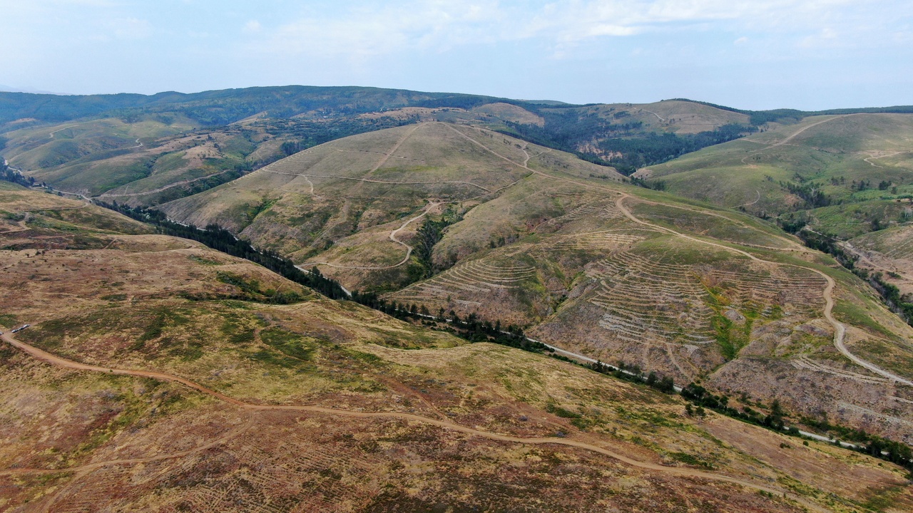 Taşköprü Orman Yeşillendirme (4)