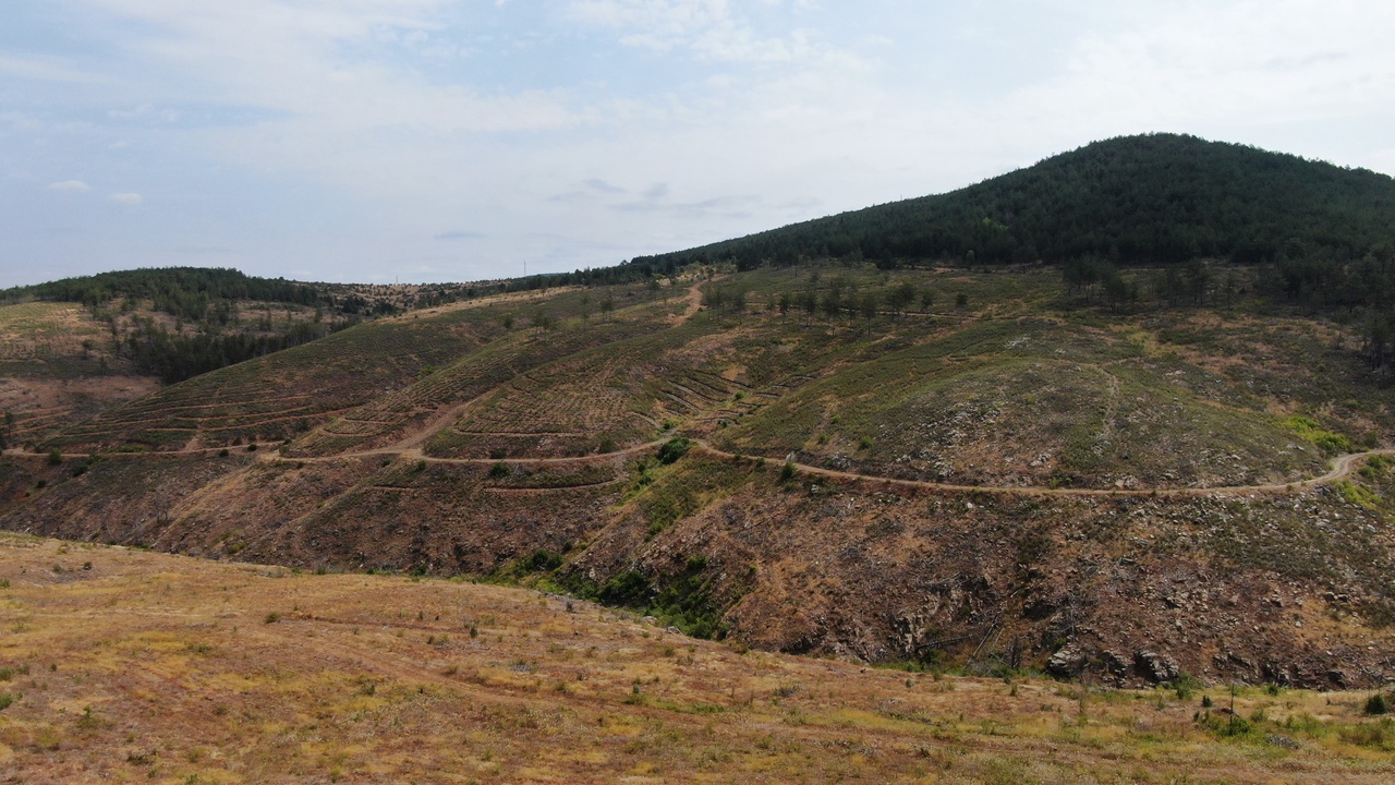 Taşköprü Orman Yeşillendirme (8)