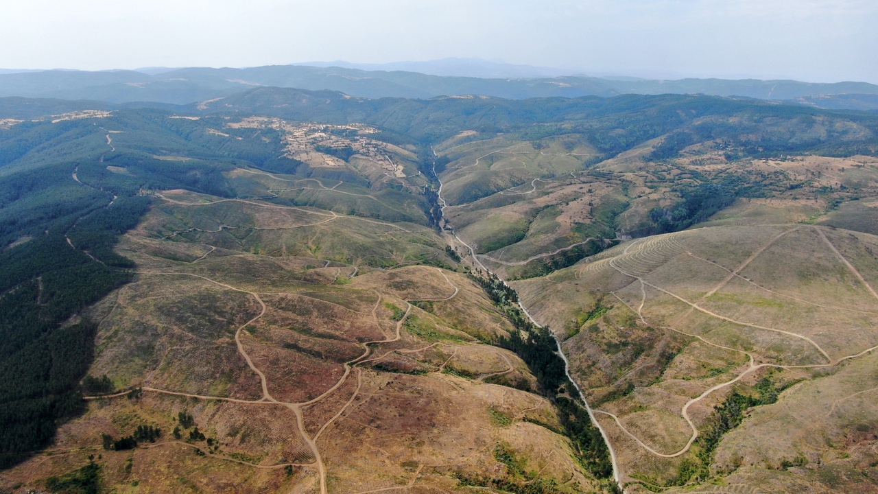 Taşköprü Orman Yeşillendirme (9)