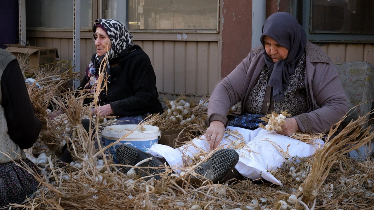 Taşköprü Sarımsak Bağlama (2)