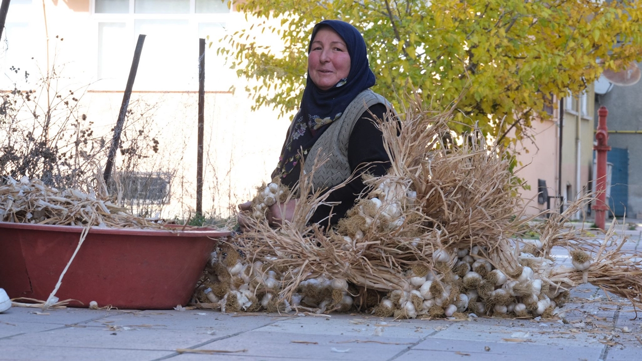 Taşköprü Sarımsak Bağlama (3)
