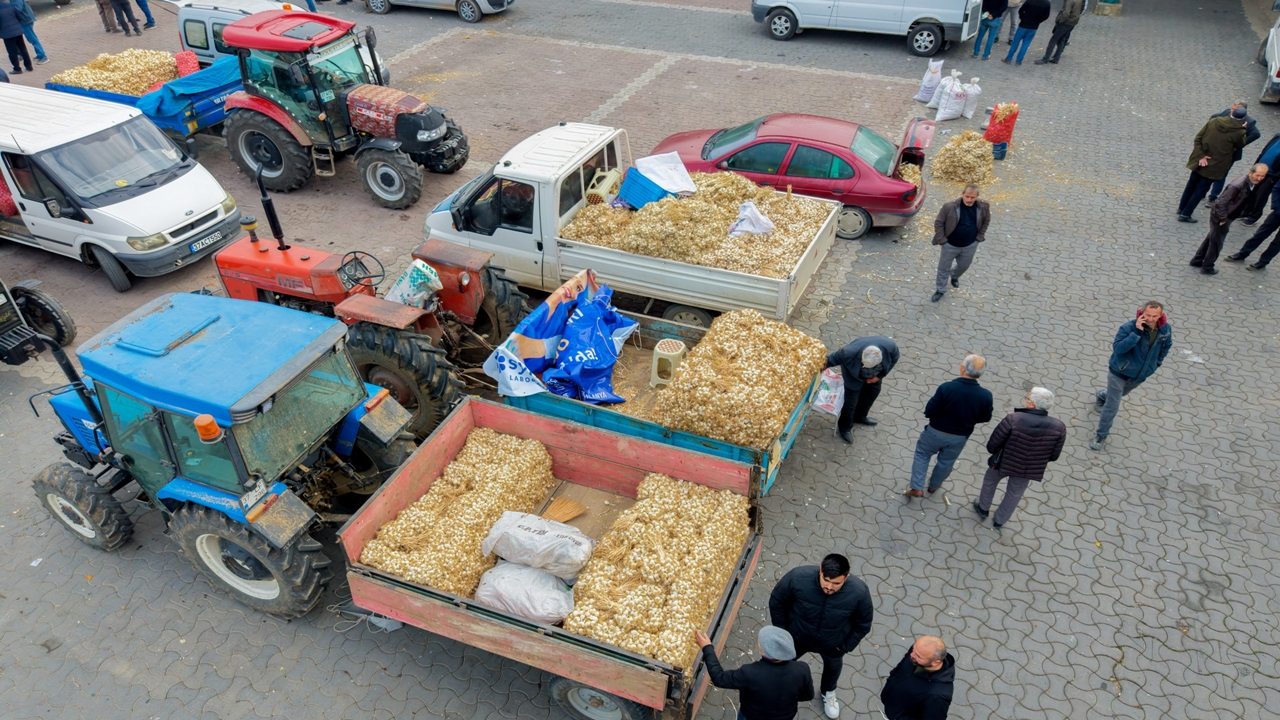 Taşköprü Sarımsak Pazarı Soğuk Hava (7)