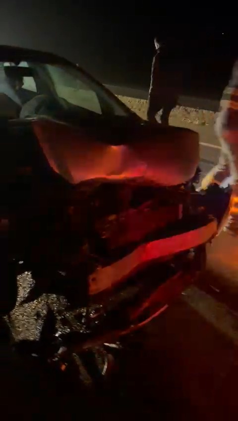 Taşköprü'de Feci Kaza Araç Domuzlara Çarptı! 4