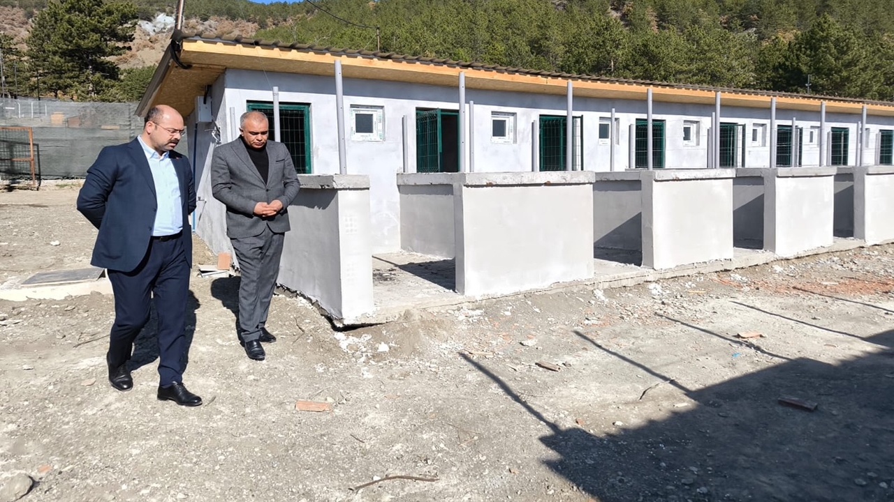 Tosya Hayvan Bakım Evi (3)