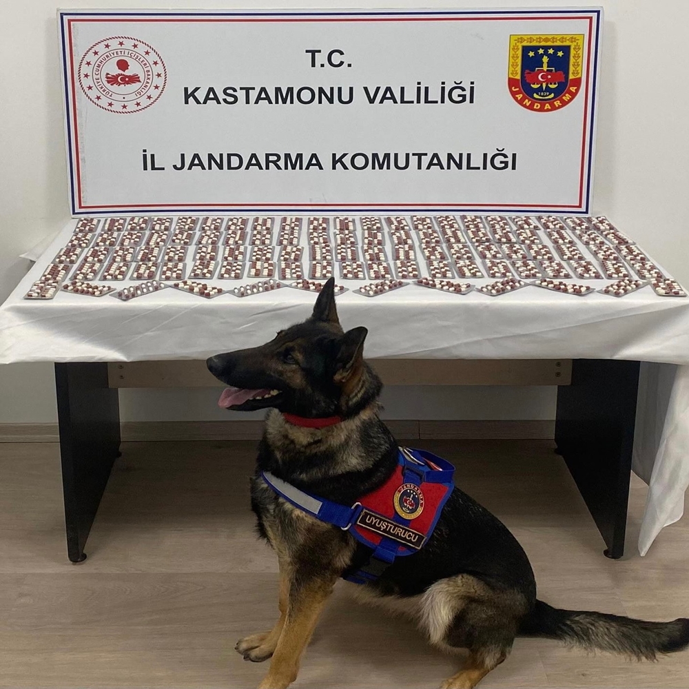 Tosya Operasyon Uyuşturucu (2)