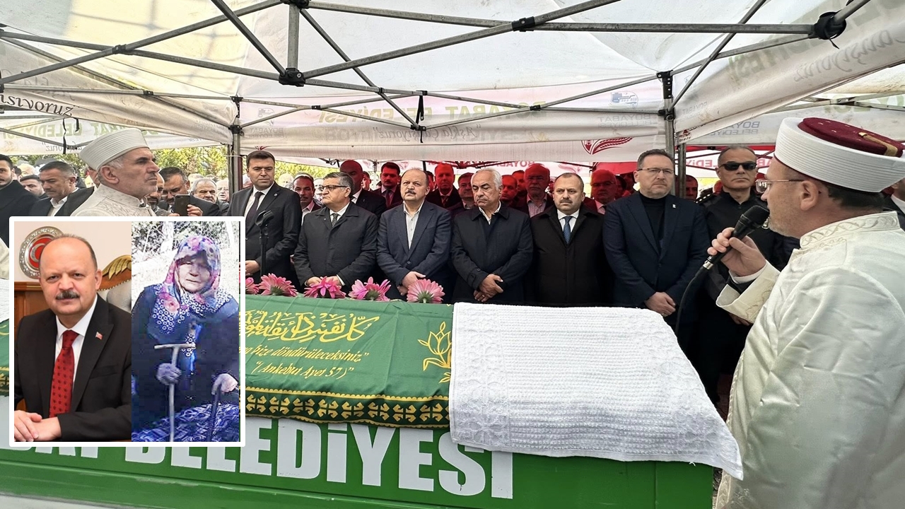 Vali Dallı Anne (2)Aü