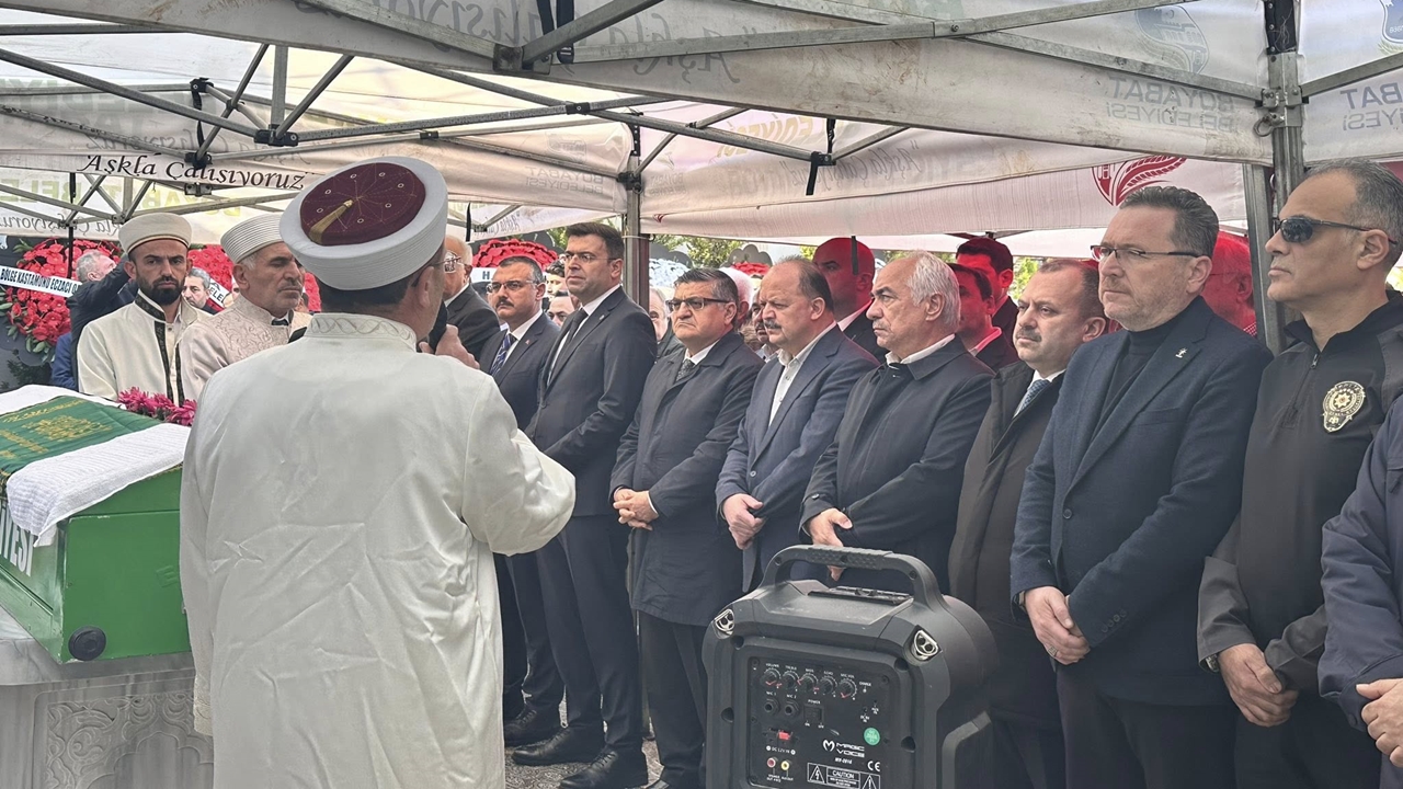 Vali Dallı Anne (3)