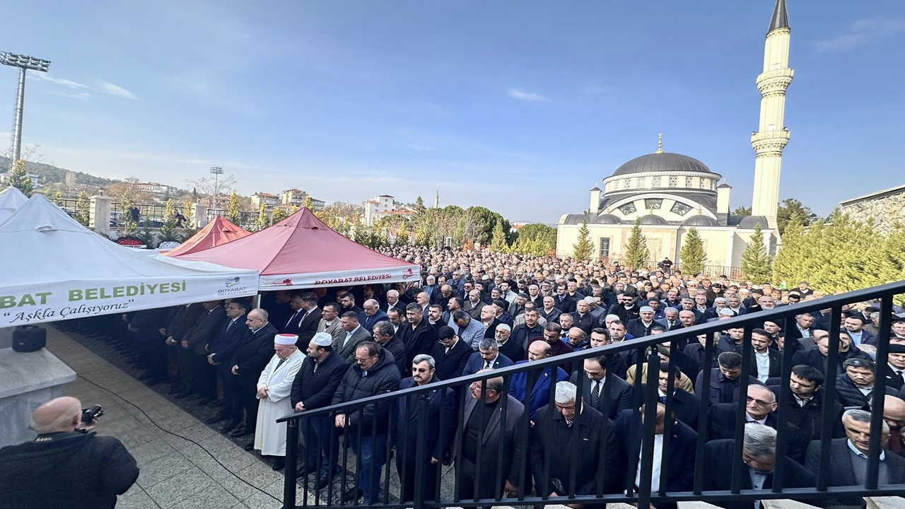 Vali Dallı Anne (4)