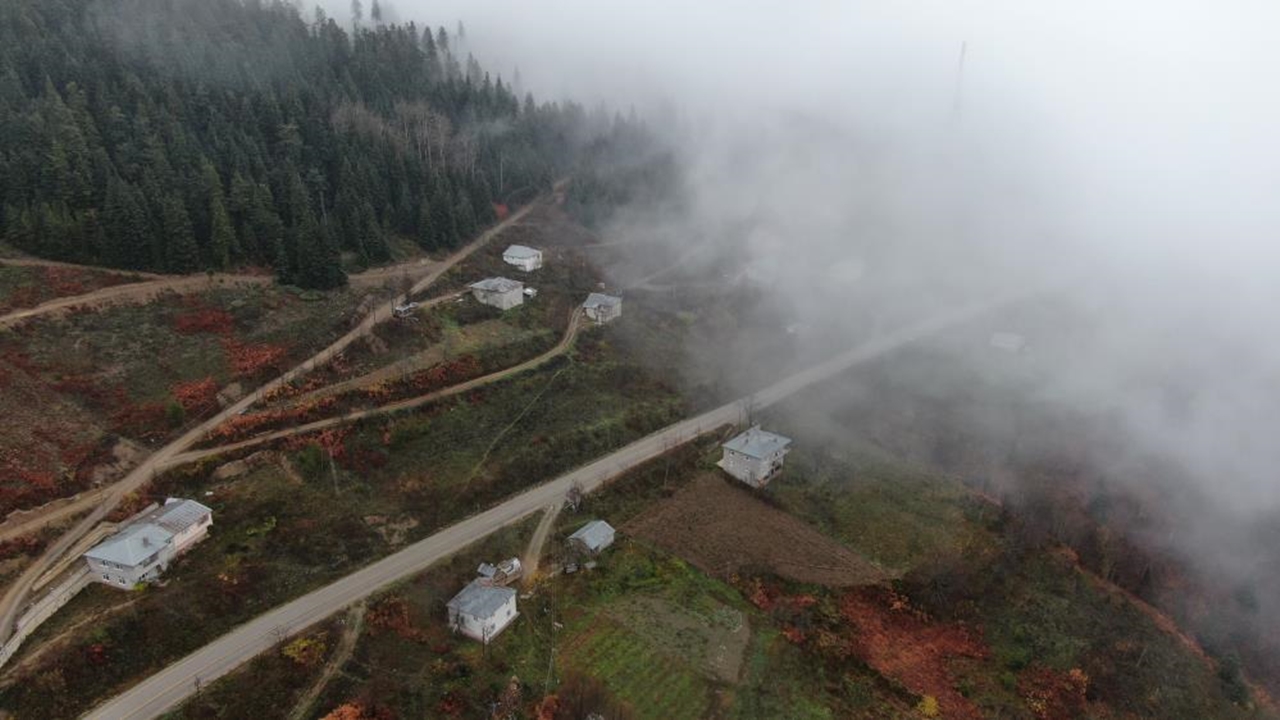 Yaralıgöz Sis (1)-1