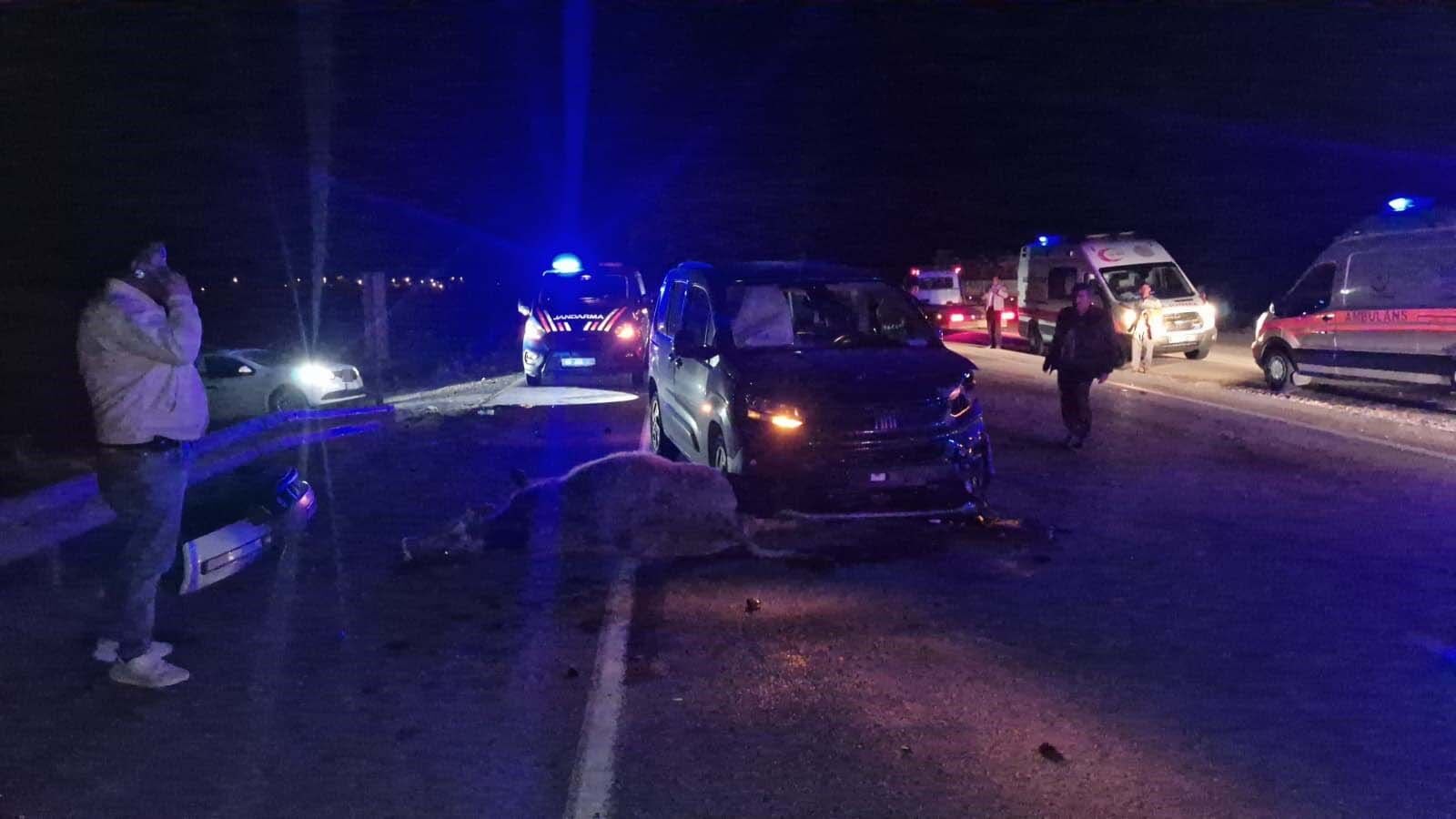 Yola Çıkan Dana Kazaya Sebep Oldu 3 Kişi Yaralandı 2