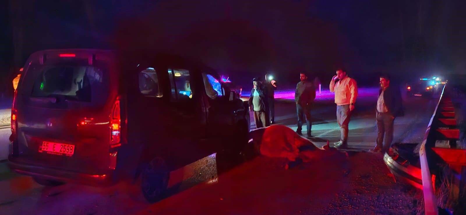 Yola Çıkan Dana Kazaya Sebep Oldu 3 Kişi Yaralandı 8