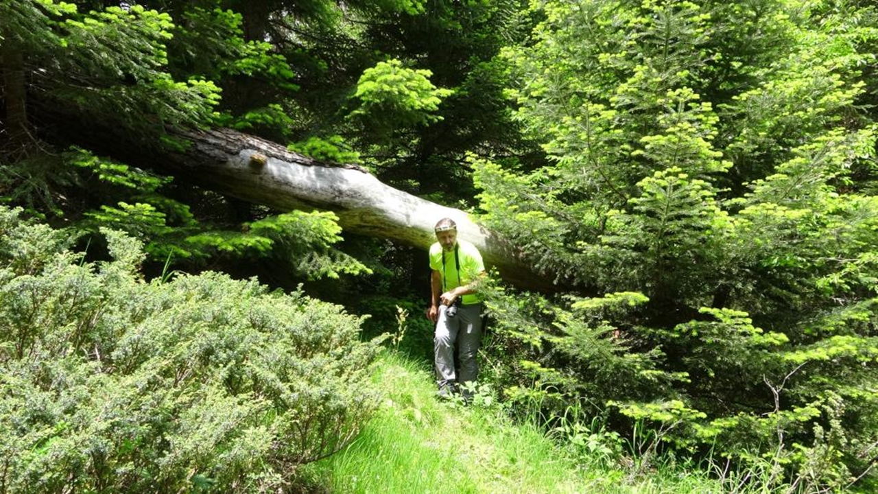 5 Kapılı Dev Mağara Intaş (5)