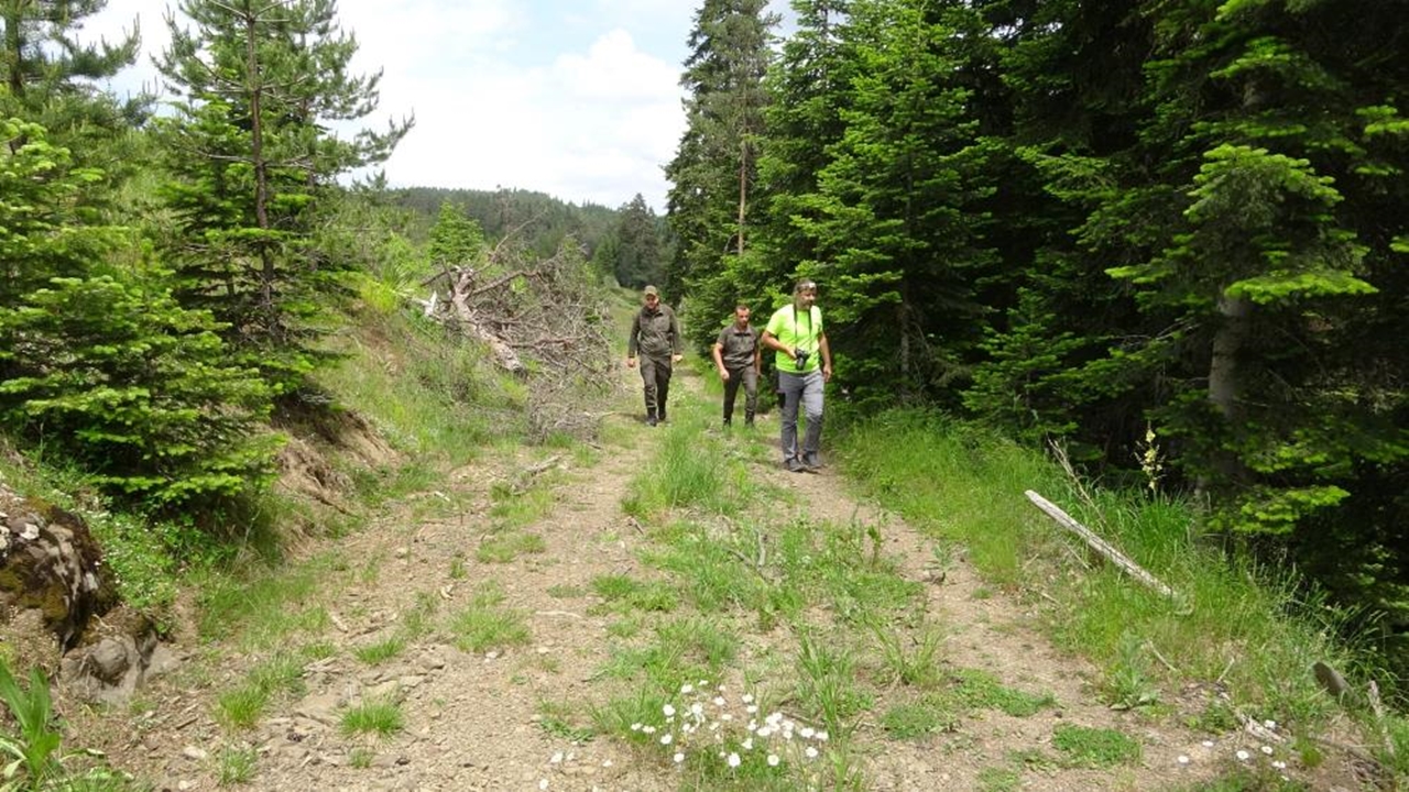 5 Kapılı Dev Mağara Intaş (8)