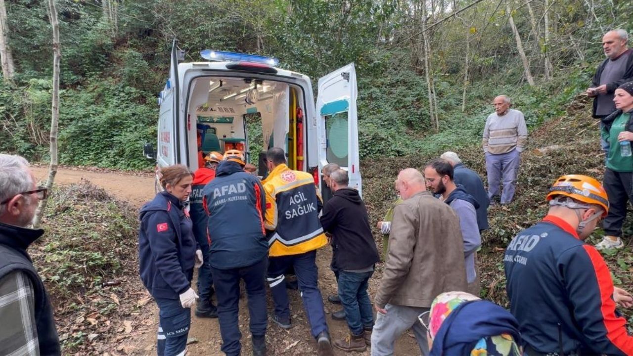 Ağaç Kesiminde Feci Kaza Kestiği Ağaç Çarptı, Uçuruma Düştü (2)