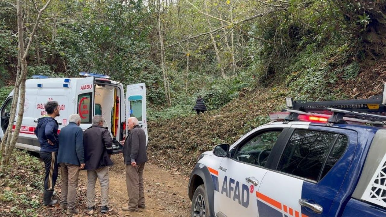 Ağaç Kesiminde Feci Kaza Kestiği Ağaç Çarptı, Uçuruma Düştü (3)